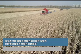 农业农村部、国家乡村振兴局与国开行签约 共同推动强化乡村振兴金融服务图片