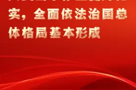 速览！二十大报告中的法治金句图片