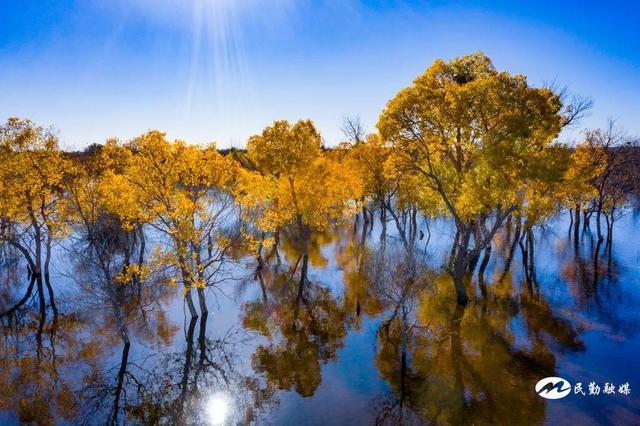 ��������Ӱ��Э�Ὺչ��ɳ������?�������ڡ���Ӱ�ɷ�