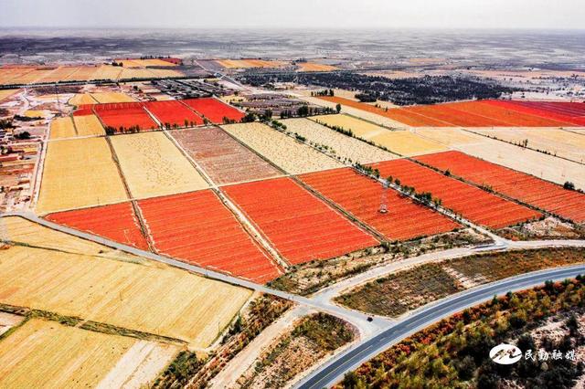 ��������Ӱ��Э�Ὺչ��ɳ������?�������ڡ���Ӱ�ɷ�