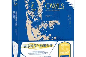 怎样在俄罗斯的远东冰原上寻找猫头鹰图片