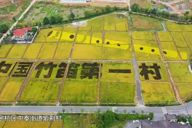 国内顶尖音乐学院毕业生聚集在杭州这个小山村，要干一番大事业图片
