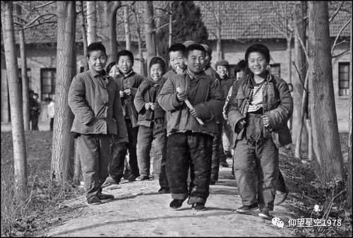 地址笨蛋6下载（宝贝）