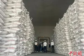 南方籼米主产区广西守护“八桂粮仓”图片