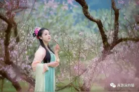 青未了｜人面桃花图片