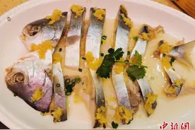 广东台山入秋宜食“鲳”吃法多样肉质鲜美图片