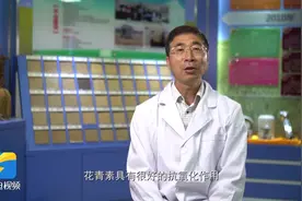 高产富花青素小麦新品种——济蓝麦1号图片
