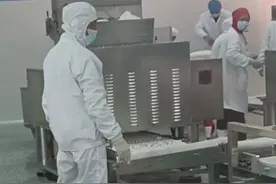 投资1.5亿！“中国醪糟之乡”四川大竹县5万吨速冻汤圆生产线正式投产图片