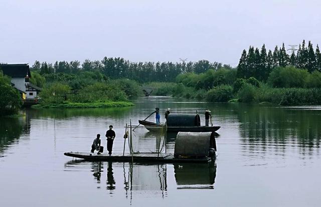 三江水指的是哪三江（红·十月▏冯爱霞芦苇荡漾沙家浜）