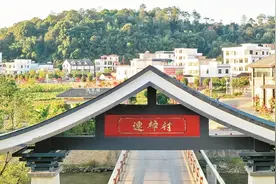 清远连樟村：始终牢记总书记殷殷嘱托，用勤劳双手创造更幸福生活图片