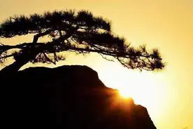 青未了｜明天太阳照常升起图片