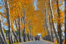 新华全媒+丨辽宁秋收见闻：新型职业农民助力丰产增收图片