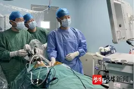 晚期乳腺癌不再难治，个体精准化诊疗让“长生存、好生活”照进现实图片