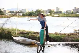 珠海养殖户参会党的二十大，梁美容以“一条鱼”掀起致富潮图片