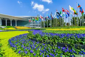 全球首发技术一刻钟清除数十个转移瘤病灶！瓦里安医疗携四大首发阵容“五赴进博”图片