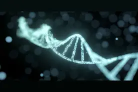 毕马威中国生物科技创新50报告：50%上榜企业成立5～10年 上杭北深企业超六成图片