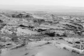 3代人，60年，百万亩林海……图片