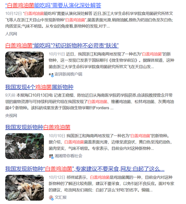 弓箭救小人3攻略（云南菌子的奇幻之旅）