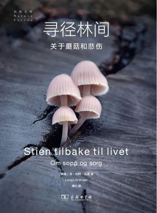 云南菌子的奇幻之旅