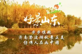 果然视频·好景山东｜步步惊艳！济南澄波湖秋景正美，宛如画中游图片