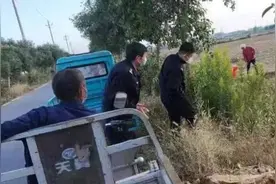 太和县：群众发现加拿大一枝黄花迅速报警 警民携手铲除图片