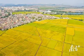 摘得“国字号”招牌！中山南朗崖口获评中国美丽休闲乡村图片