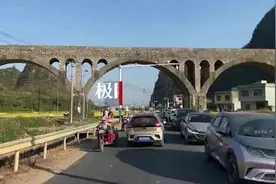 广西一乡村金黄稻田成网红景点，村民：请游客勿踩水稻图片