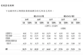 猪八戒赴港IPO：营收连年增加仍未盈利，问题出在哪？图片