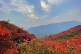 房山坡峰岭景区需提前一天预约，药王谷景区今起暂时闭园图片