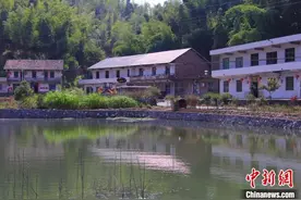 生态种养描绘新色彩 昔日湘南“煤村”迎来“黑”转“绿”图片