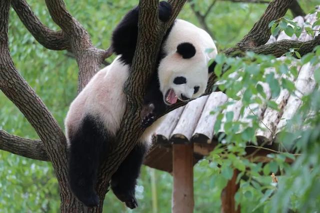 ��ӹչ����ժ�ڡ���ʿ������......10�µ����һ�ܣ����ʳ���