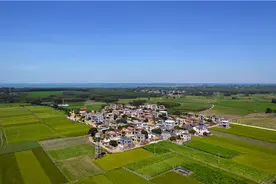 徐闻东坡村：从“后进村”跃升为“先进村”图片