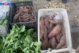 逛市场（视频）|1.5元~2元/斤，“烟薯25”为什么价格落得这么大？图片