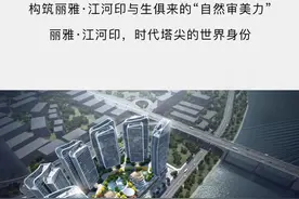 丽雅·江河印首启珍藏，坐拥金沙江一线江景图片