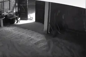 安徽阜阳接连两天发生巨响，官方：正在调查原因图片