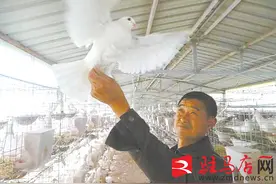 汝南村民韩文涛：雏禽“孵”出致富路图片