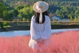 湖北秋日限定花海，你去过几个？图片