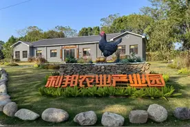 江西南昌：90后小伙养鸡创业 谱写乡村振兴“青春之歌”图片