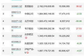 诺安基金蔡嵩松三季报出炉：卓胜微成第一大重仓股，新接手基金大调仓，喊出“黎明前的黑暗，继续等待”图片