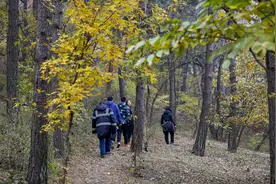 行走在长城脚下、循迹京西古道，北京今年已建成5条森林步道图片
