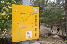 总长度100公里！北京山区建成5条森林步道图片