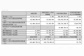 改名难改命，金刚光伏前三季度仍亏损1.55亿图片
