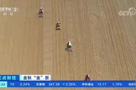 河南孟州：36万多亩小麦进入播种关键期视频封面