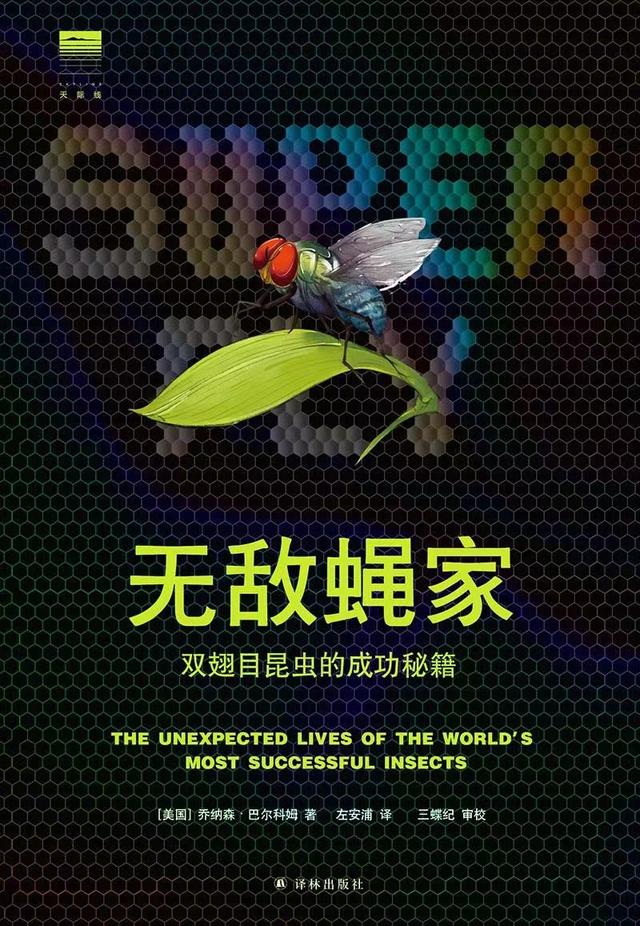 洛克王国捕获昆虫路线（我们为什么要关心那些双翅目昆虫）