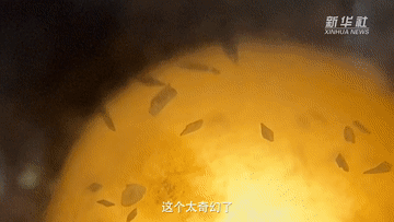 神秘王国第十三关拼图（权威访谈丨张扬对话朱敏寻找44亿年前的人类远祖）