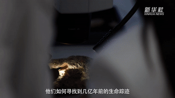 权威访谈丨张扬对话朱敏：寻找4.4亿年前的人类远祖