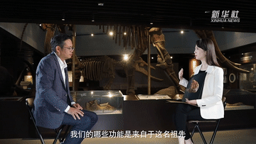 权威访谈丨张扬对话朱敏：寻找4.4亿年前的人类远祖