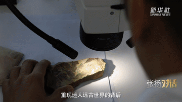 权威访谈丨张扬对话朱敏：寻找4.4亿年前的人类远祖