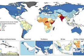 毒蛇咬伤每年造成6.3万人死亡，80%致命案例发生在印度图片