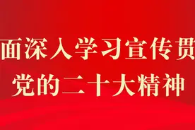 【基层动态】陇南两当妇联强化党建引领 彰显巾帼担当图片